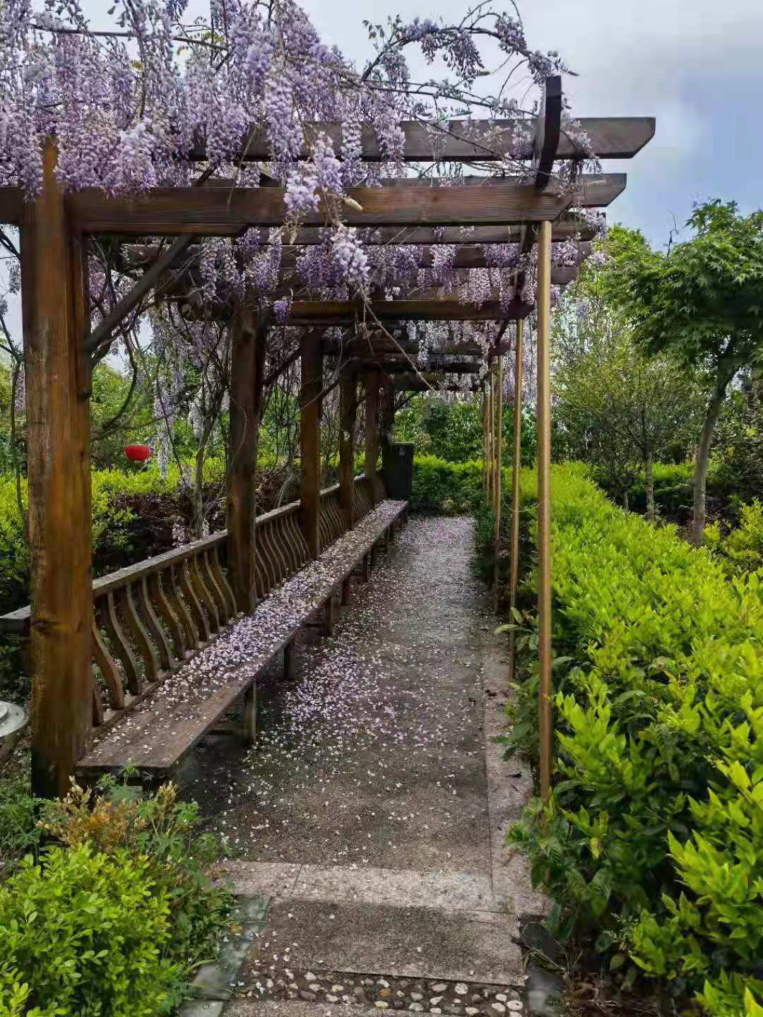 廠區環境